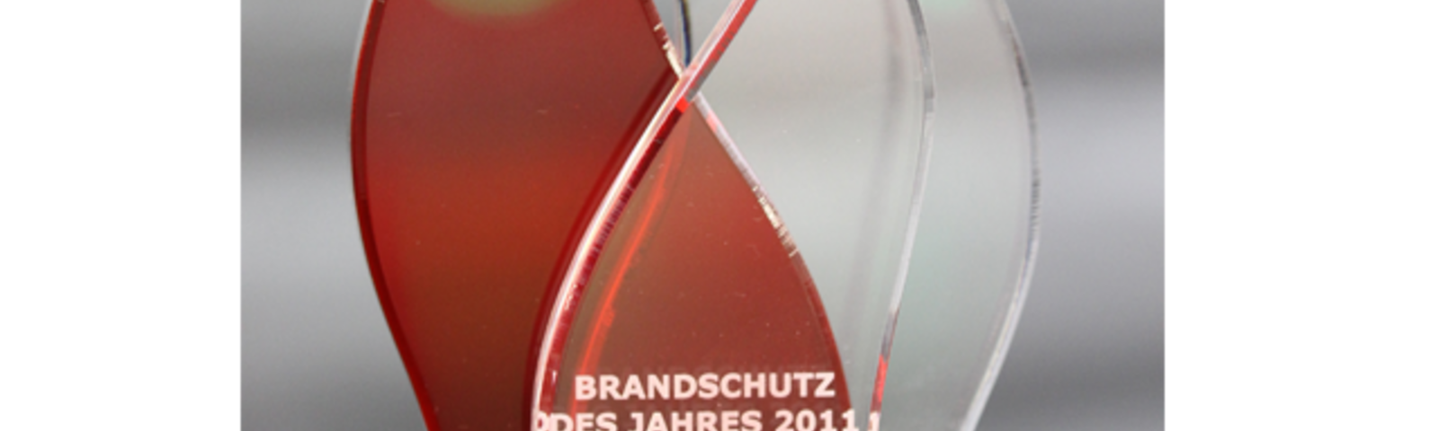 Onderscheiding van FeuerTRUTZ als brandbeveiliging van het jaar 2011