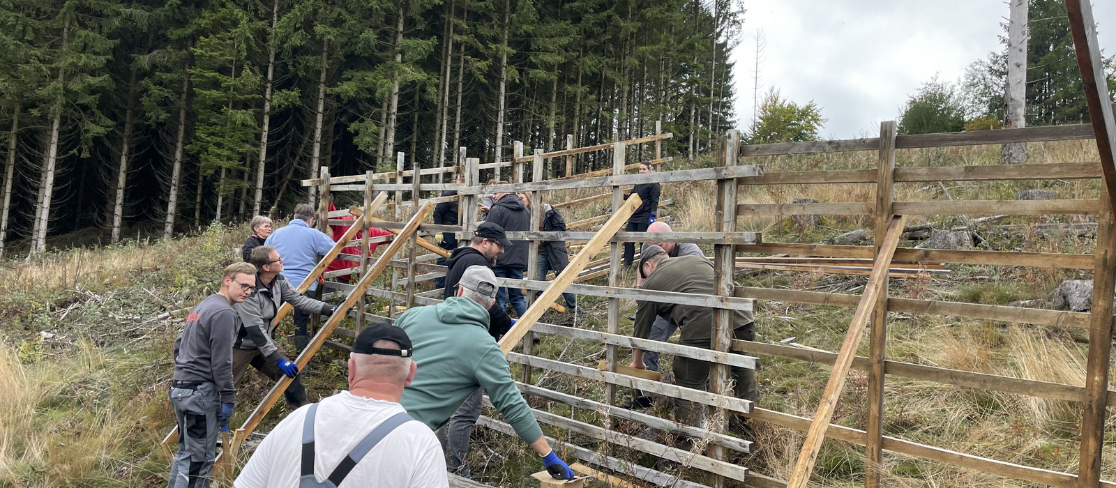 Team STÖBICH pflanzt Bäume im Harz