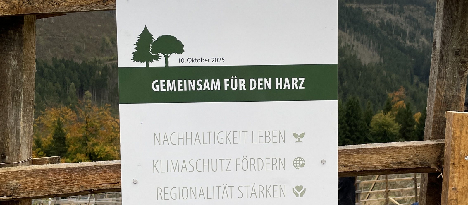 Team STÖBICH pflanzt Bäume im Harz